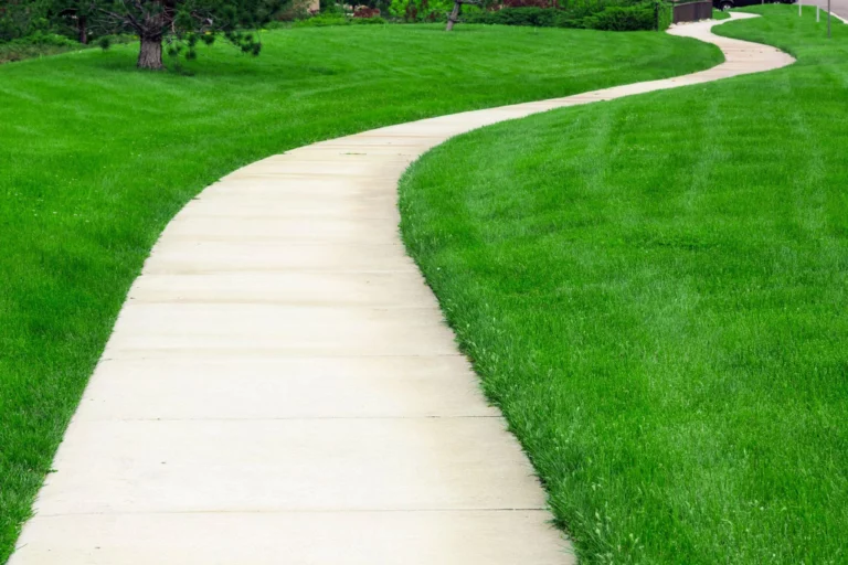 Long curving concrete garden path across a green lawn, Spring Hill, FL